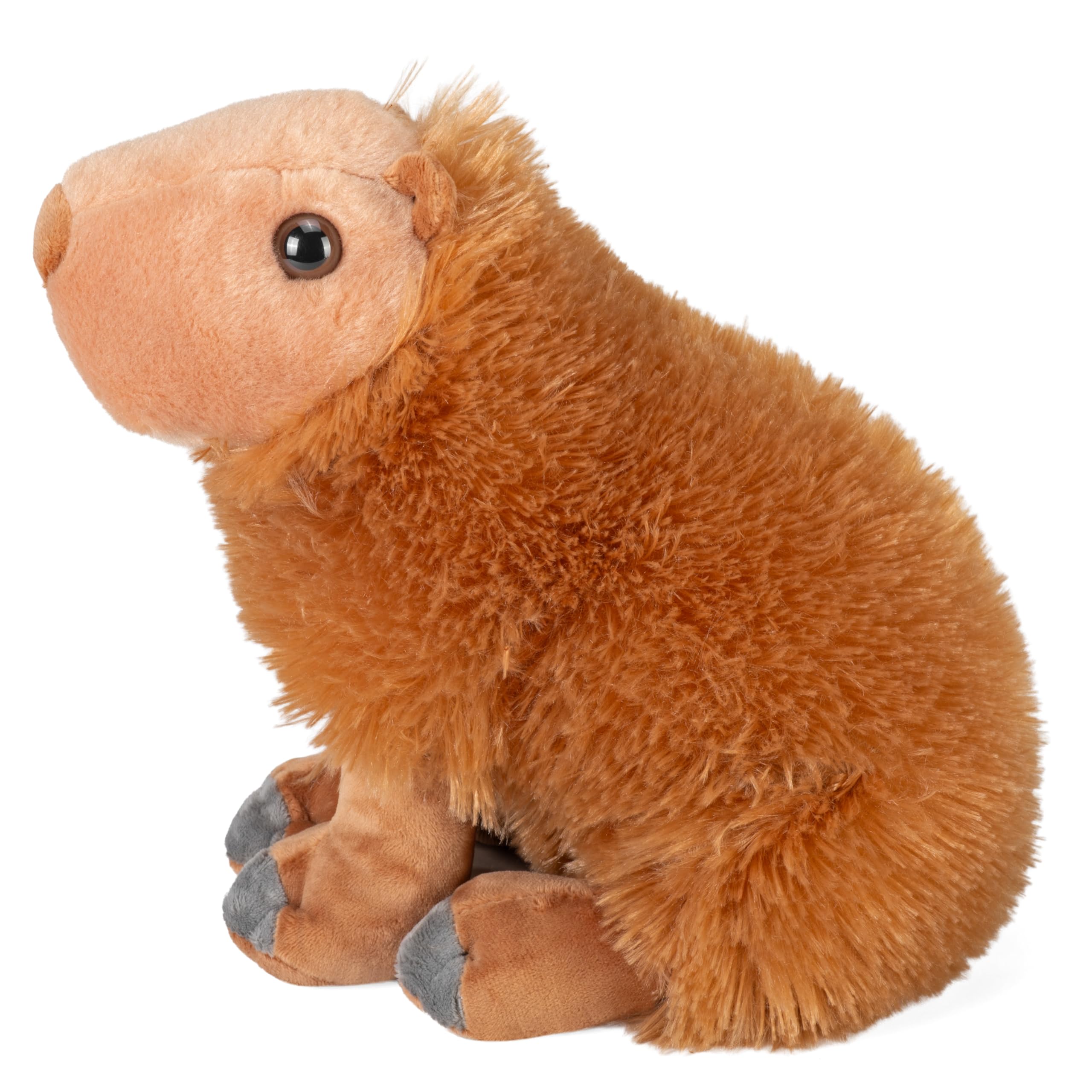 Amazon.co.jp: ワイルドリパブリック ぬいぐるみ カピバラ 12